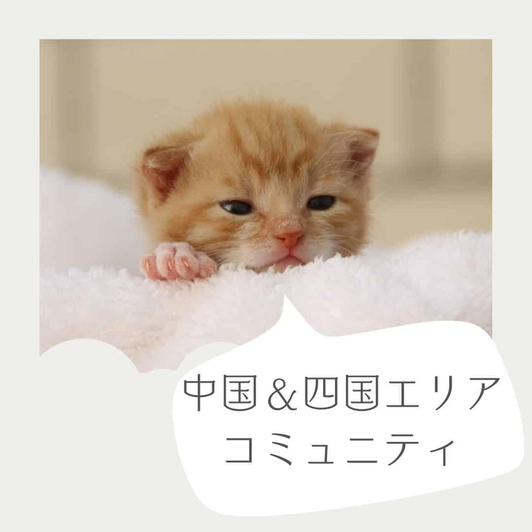 ロゴ画像